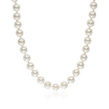 Kette Muschelkernperle weiß