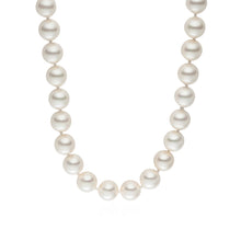  Kette Muschelkernperle weiß