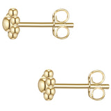 Ohrstecker gelbgold